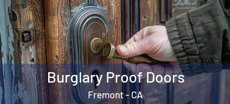  Burglary Proof Doors Fremont - CA