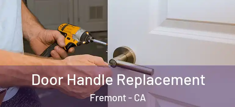  Door Handle Replacement Fremont - CA
