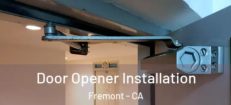  Door Opener Installation Fremont - CA