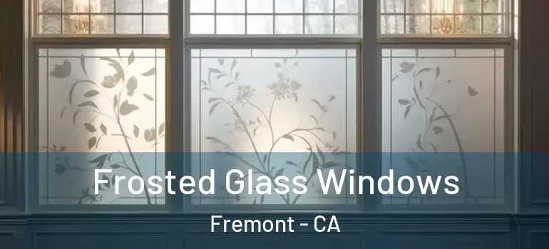  Frosted Glass Windows Fremont - CA