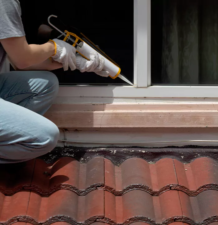 Roof Window Services in Fremont, California