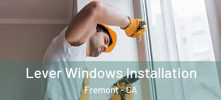  Lever Windows Installation Fremont - CA