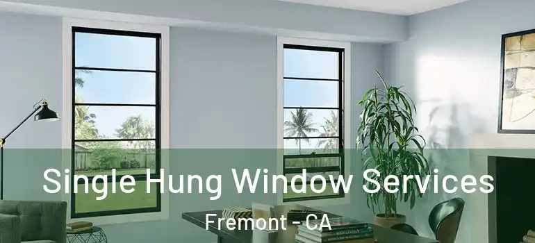  Single Hung Window Services Fremont - CA