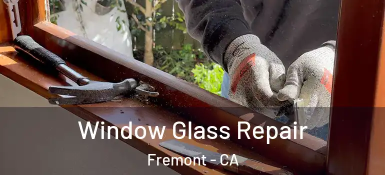  Window Glass Repair Fremont - CA