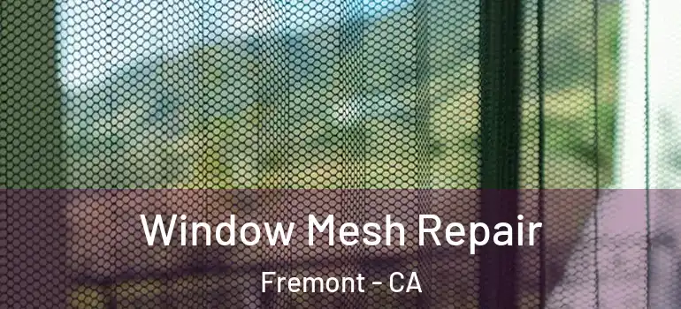  Window Mesh Repair Fremont - CA