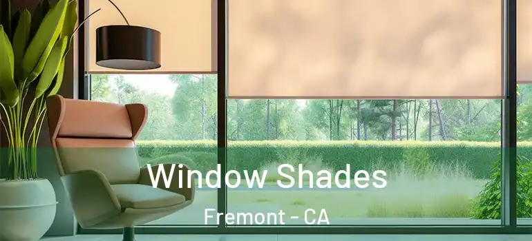  Window Shades Fremont - CA