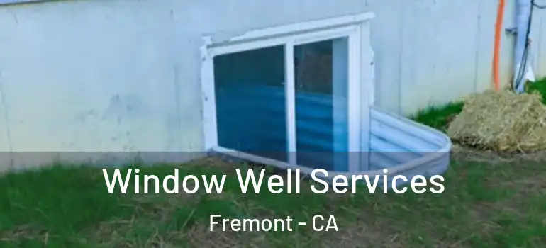  Window Well Services Fremont - CA